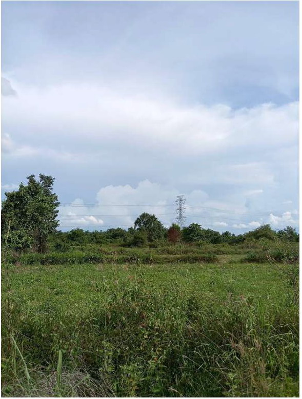 รูปที่ดินว่างเปล่า หนองไผ่ เมือง อุดรธานี