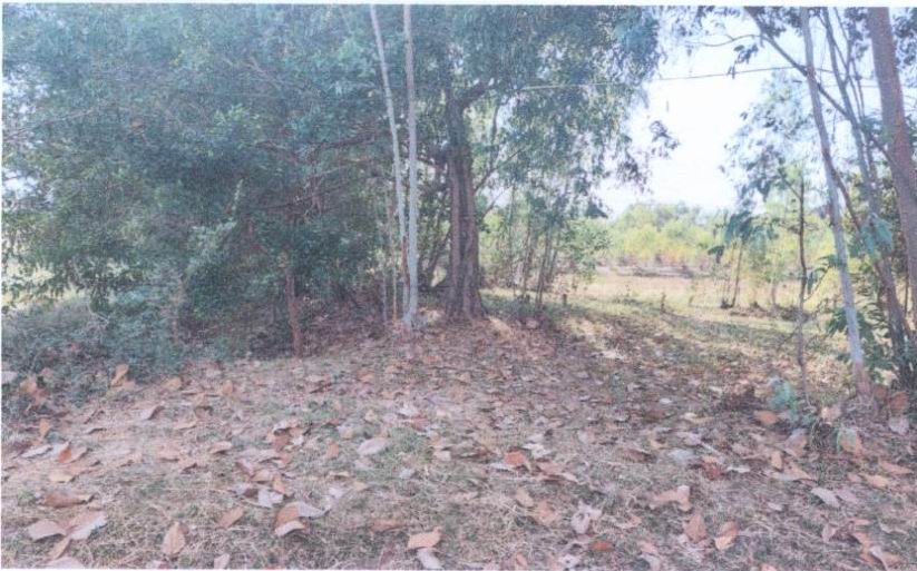 รูปที่ดินว่างเปล่า ชีทวน เขื่องใน อุบลราชธานี