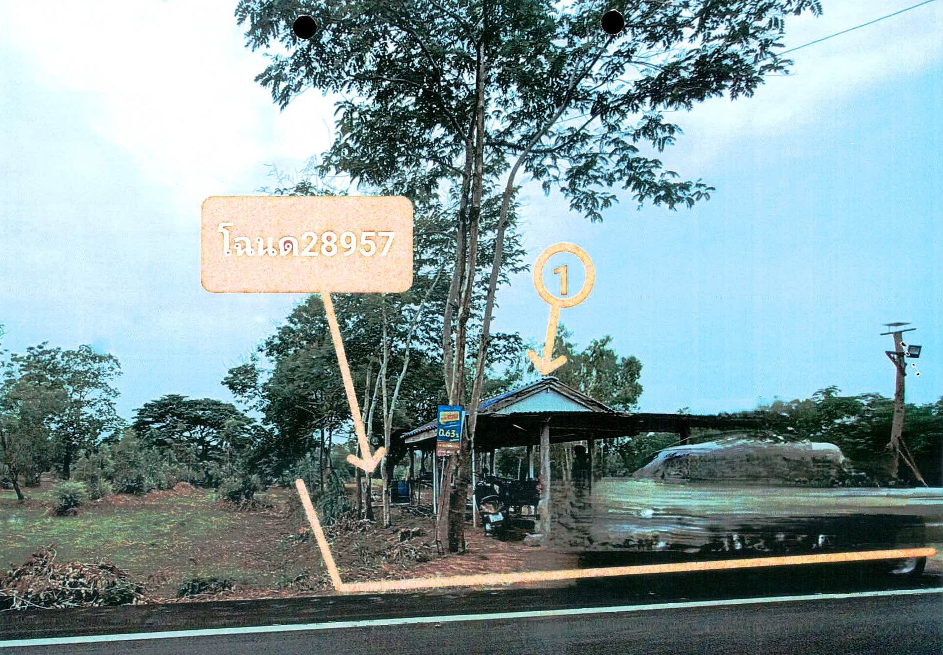รูปที่ดินพร้อมสิ่งปลูกสร้าง หนองขวาว ศีขรภูมิ สุรินทร์