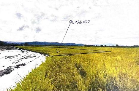 รูปที่ดินว่างเปล่า ท่าพล เมืองเพชรบูรณ์ เพชรบูรณ์