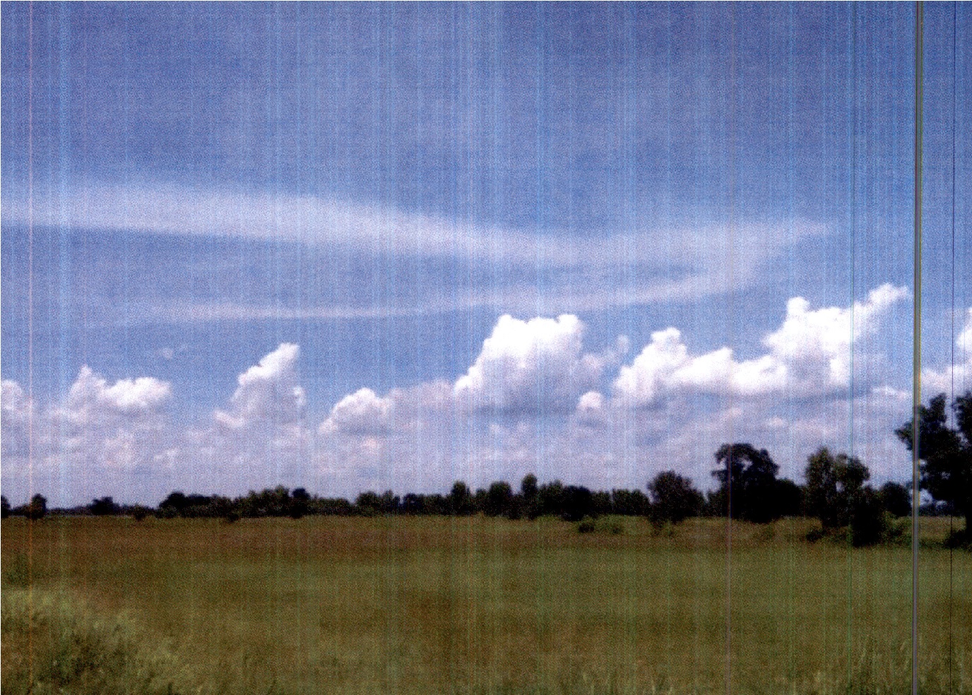 รูปที่ดินว่างเปล่า ดงใหญ่ พิมาย นครราชสีมา