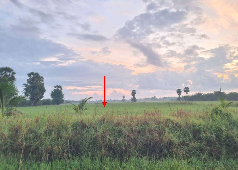 รูปที่ดินว่างเปล่า ควนชะลิก หัวไทร นครศรีธรรมราช