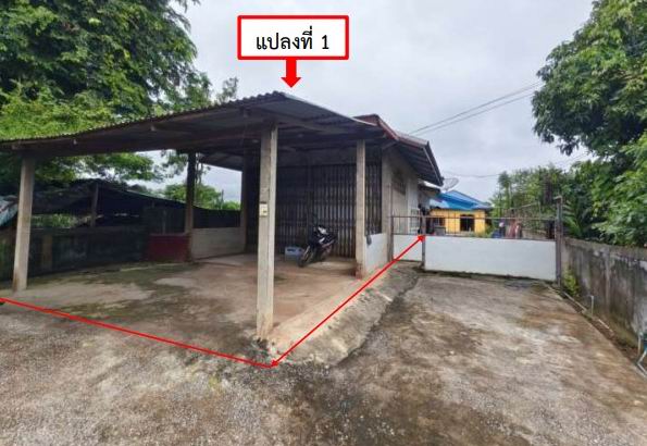 รูปที่ดินพร้อมสิ่งปลูกสร้าง โคกคอน ท่าบ่อ หนองคาย