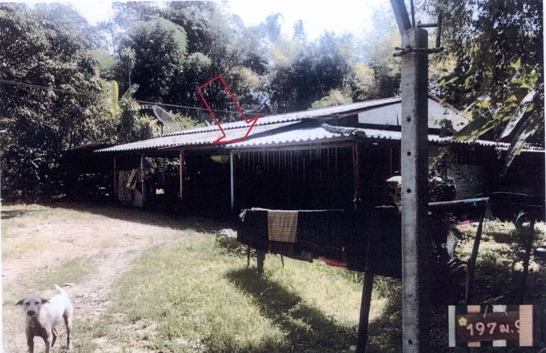 รูปที่ดินพร้อมสิ่งปลูกสร้าง ป่าขะ บ้านนา นครนายก