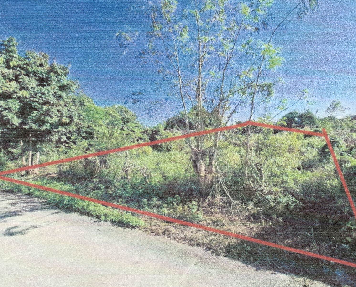 รูปที่ดินว่างเปล่า กุดป่อง เมืองเลย เลย