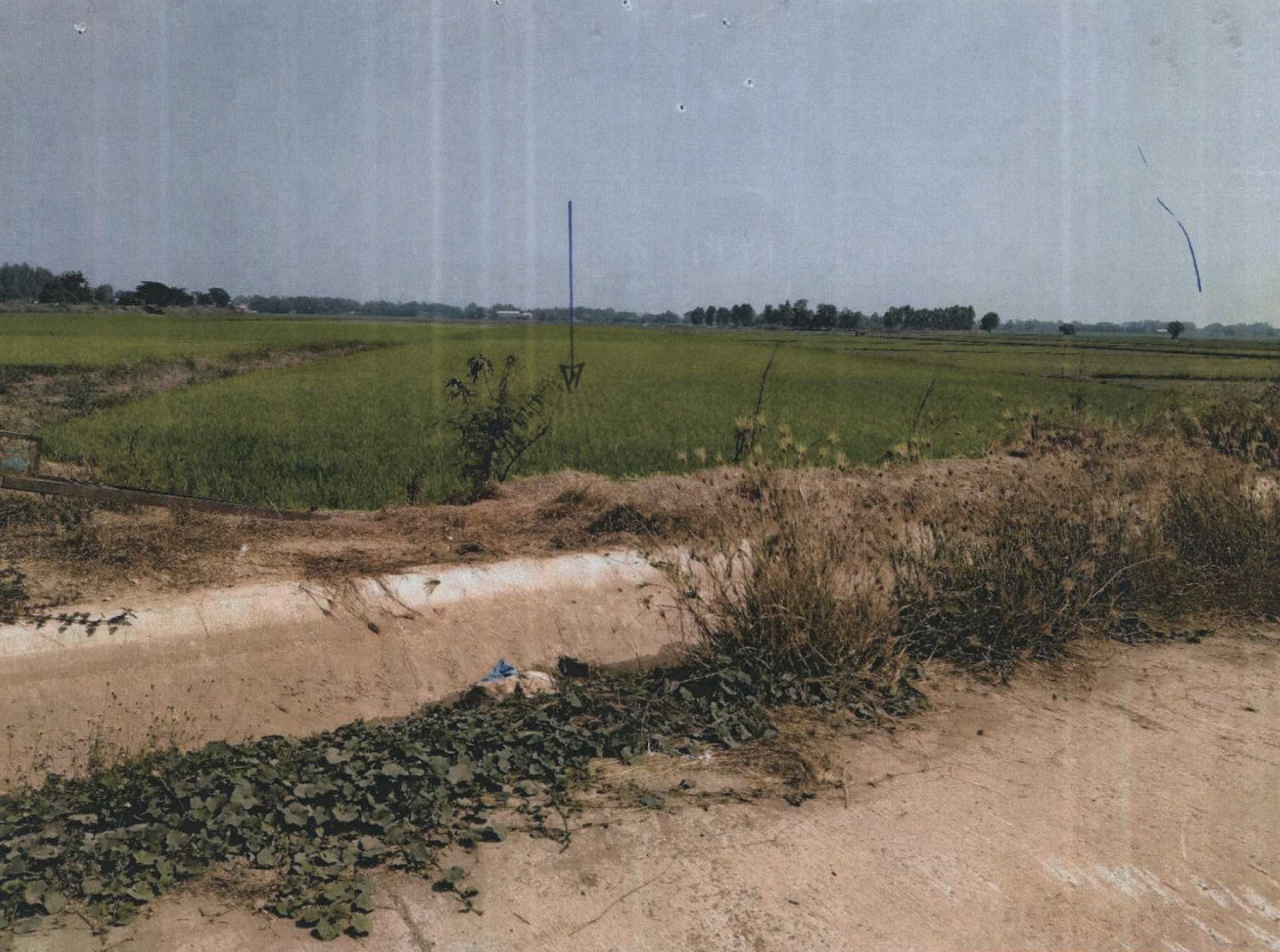รูปที่ดินว่างเปล่า ไผ่ท่าโพ โพธิ์ประทับช้าง พิจิตร