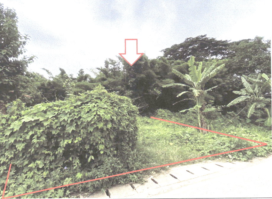 รูปที่ดินว่างเปล่า วังธง เมืองแพร่ แพร่