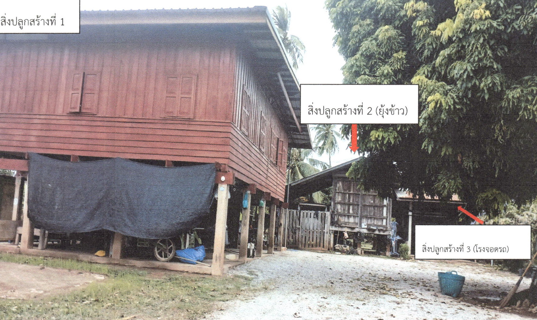 รูปที่ดินพร้อมสิ่งปลูกสร้าง ท่ามะเฟือง พิชัย อุตรดิตถ์