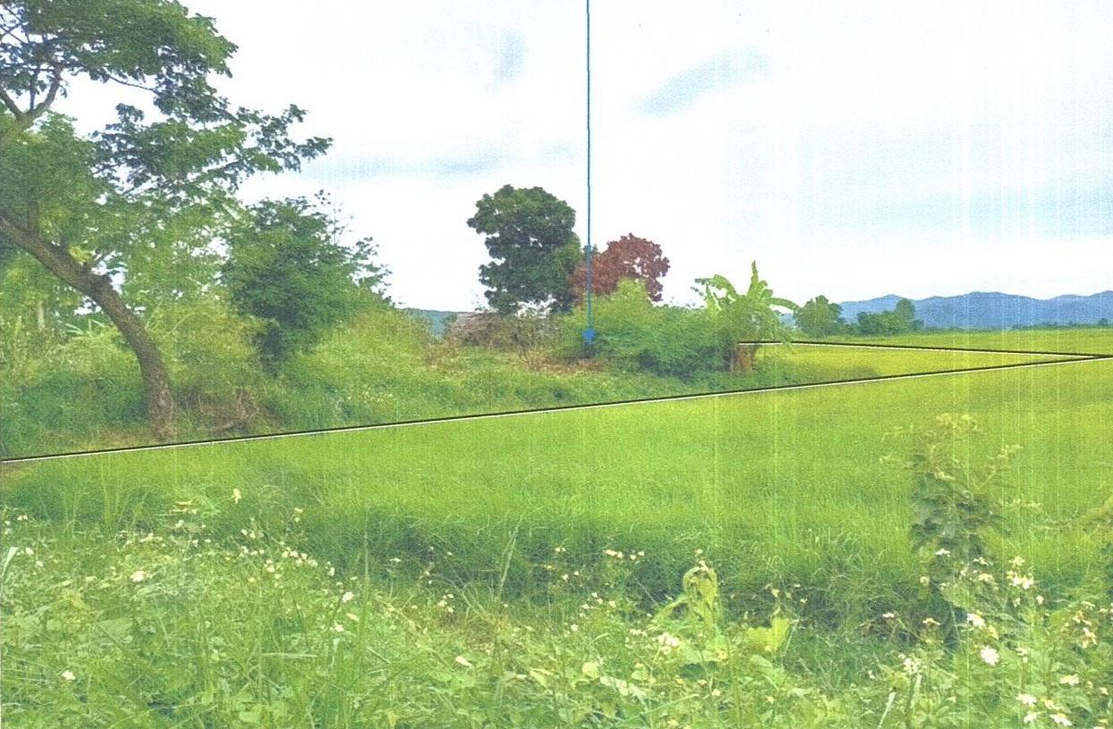 รูปที่ดินว่างเปล่า น้ำแวน เชียงคำ พะเยา