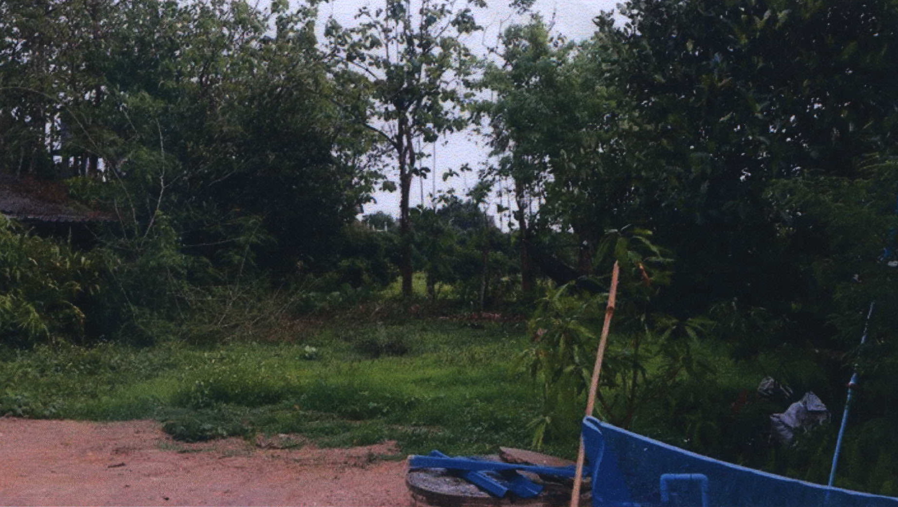 รูปที่ดินว่างเปล่า แม่สูน ฝาง เชียงใหม่