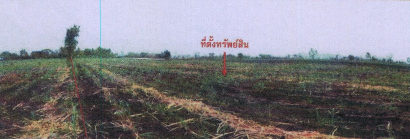 รูปที่ดินว่างเปล่า ชอนม่วง บ้านหมี่ ลพบุรี