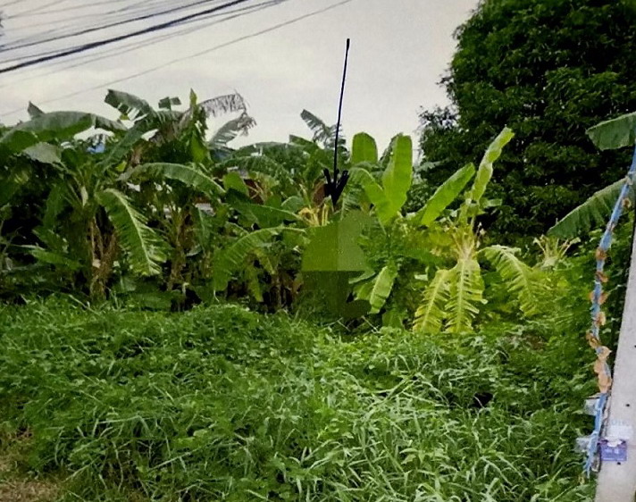 รูปที่ดินว่างเปล่า ป่างิ้ว เมืองอ่างทอง อ่างทอง