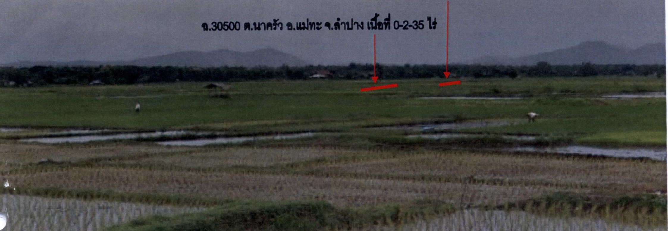 รูปที่ดินว่างเปล่า นาครัว แม่ทะ ลำปาง