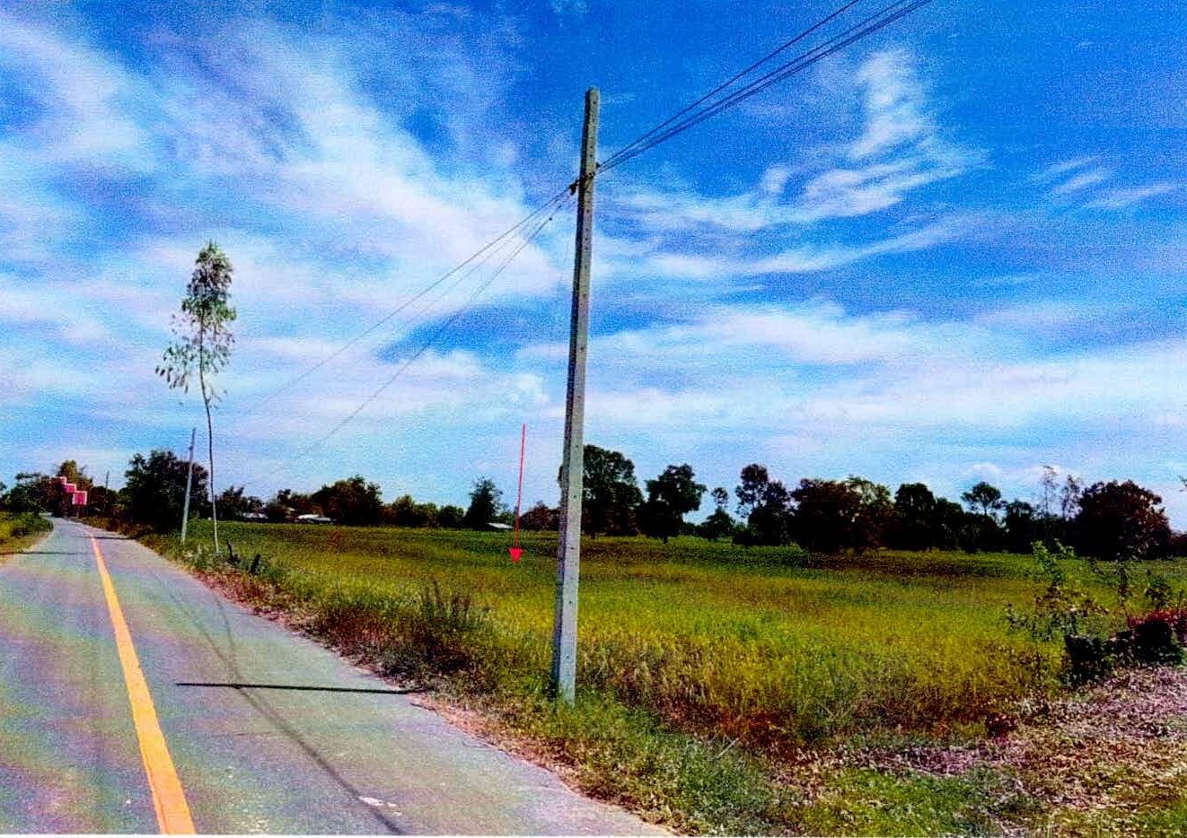 รูปที่ดินว่างเปล่า หนองไฮ เมืองศรีสะเกษ ศรีสะเกษ