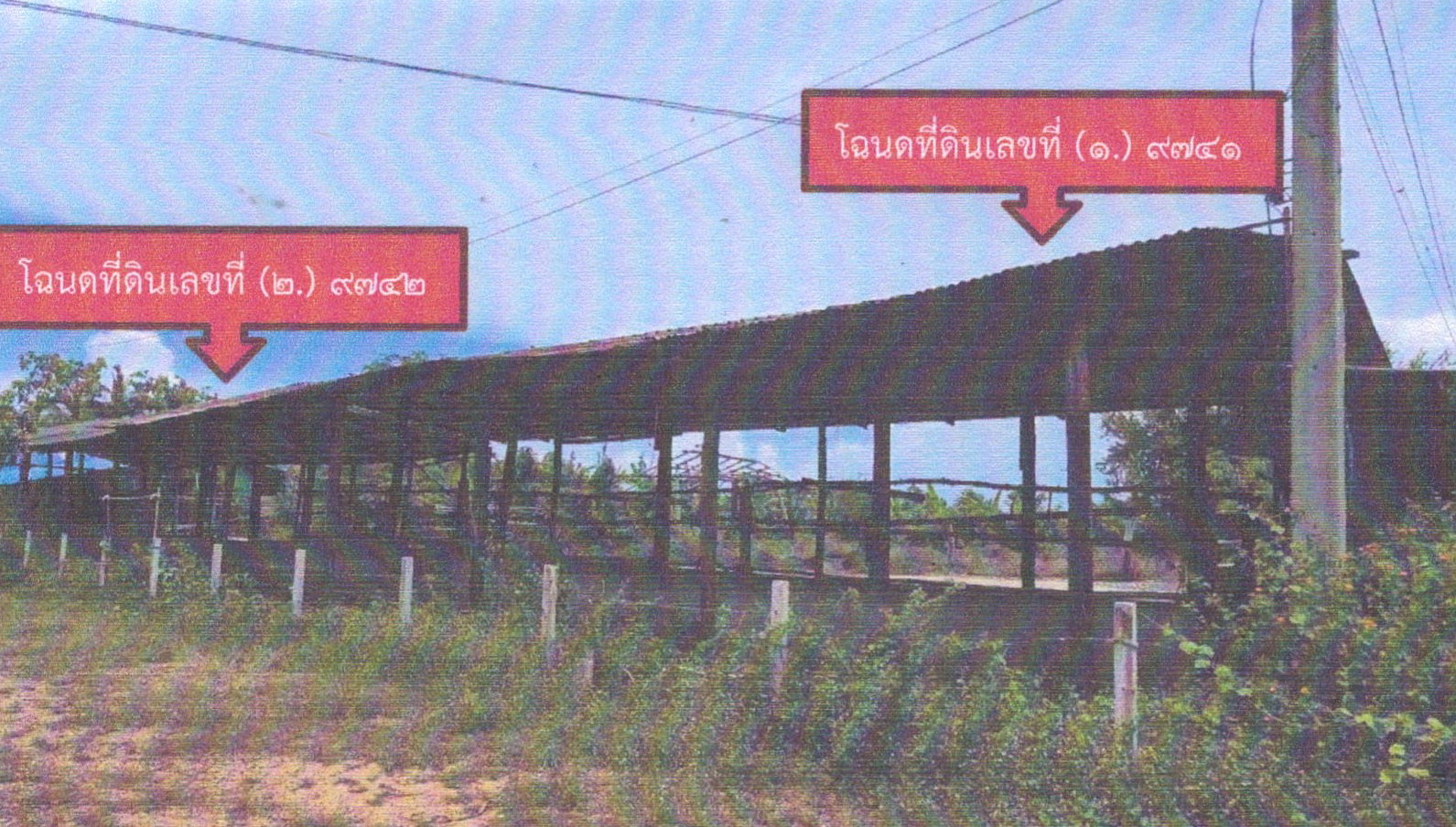 รูปที่ดินพร้อมสิ่งปลูกสร้าง พังตรุ พนมทวน กาญจนบุรี