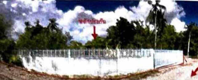 รูปที่ดินพร้อมสิ่งปลูกสร้าง ลาดยาว ลาดยาว นครสวรรค์
