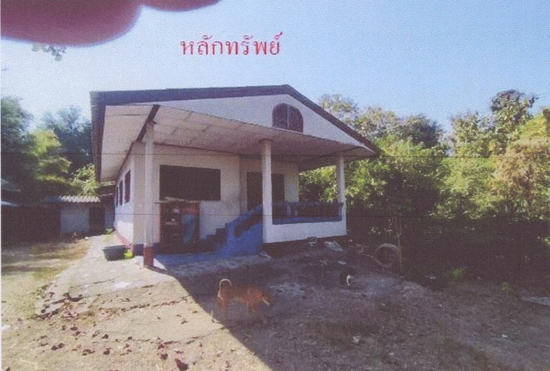 รูปที่ดินพร้อมสิ่งปลูกสร้าง ดงสุวรรณ ดอกคำใต้ พะเยา