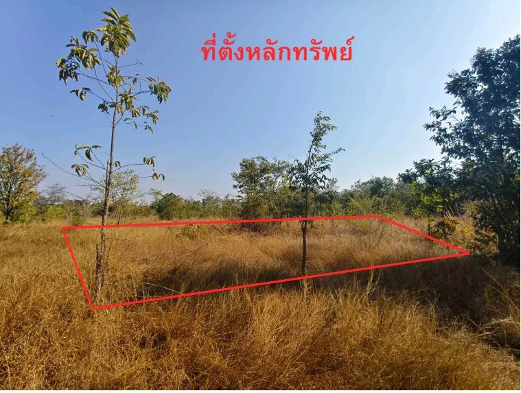 รูปที่ดินว่างเปล่า สว่างแดนดิน สว่างแดนดิน สกลนคร