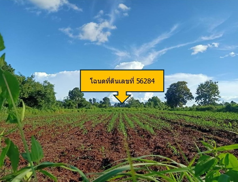 รูปที่ดินว่างเปล่า โป่งแดง เมืองตาก ตาก