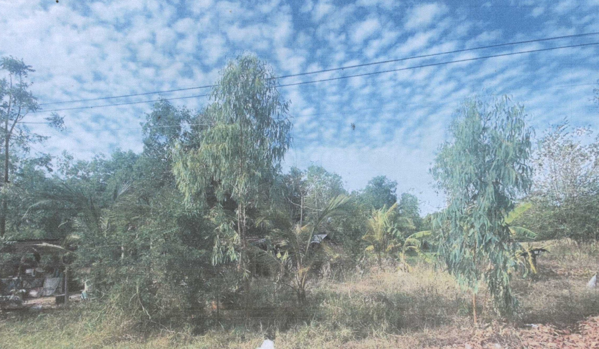 รูปที่ดินว่างเปล่า สงเปือย คำเขื่อนแก้ว ยโสธร