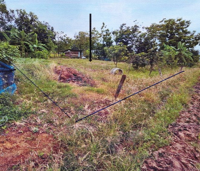 รูปที่ดินว่างเปล่า ทับผึ้ง ศรีสำโรง สุโขทัย