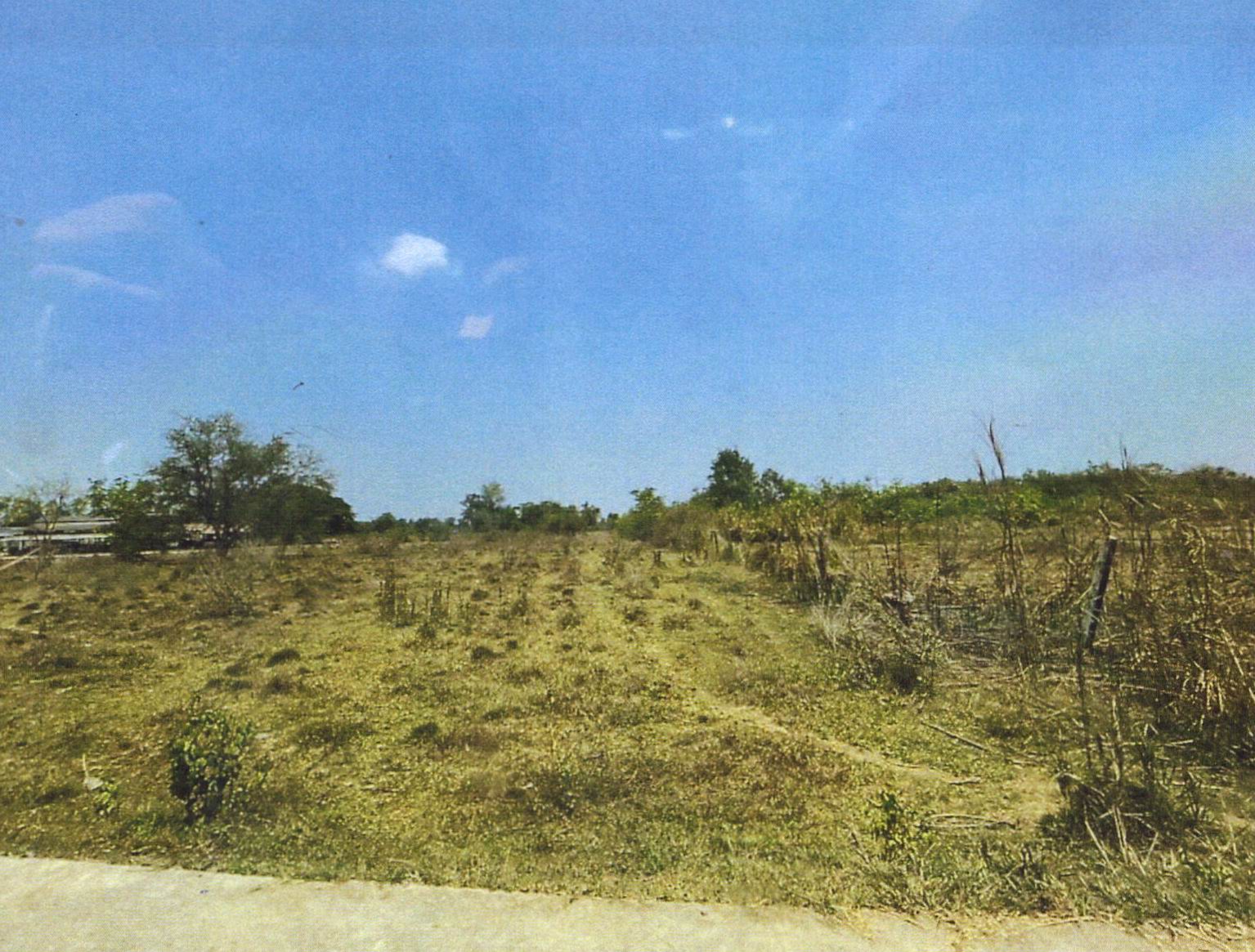 รูปที่ดินว่างเปล่า พังตรุ ท่าม่วง กาญจนบุรี