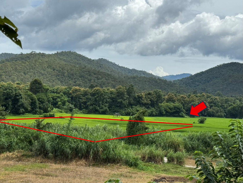 รูปที่ดินว่างเปล่า ทาเหนือ แม่ออน เชียงใหม่