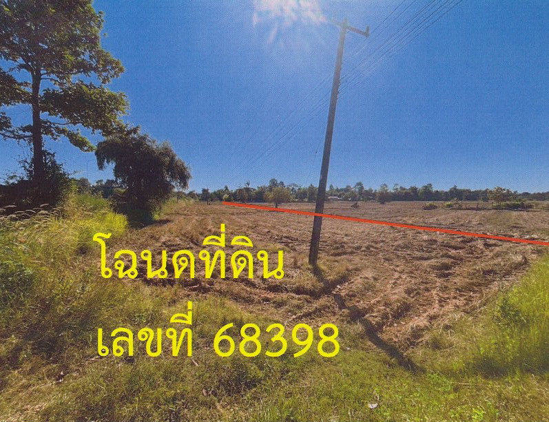 รูปที่ดินว่างเปล่า ดงมอน เมืองมุกดาหาร มุกดาหาร
