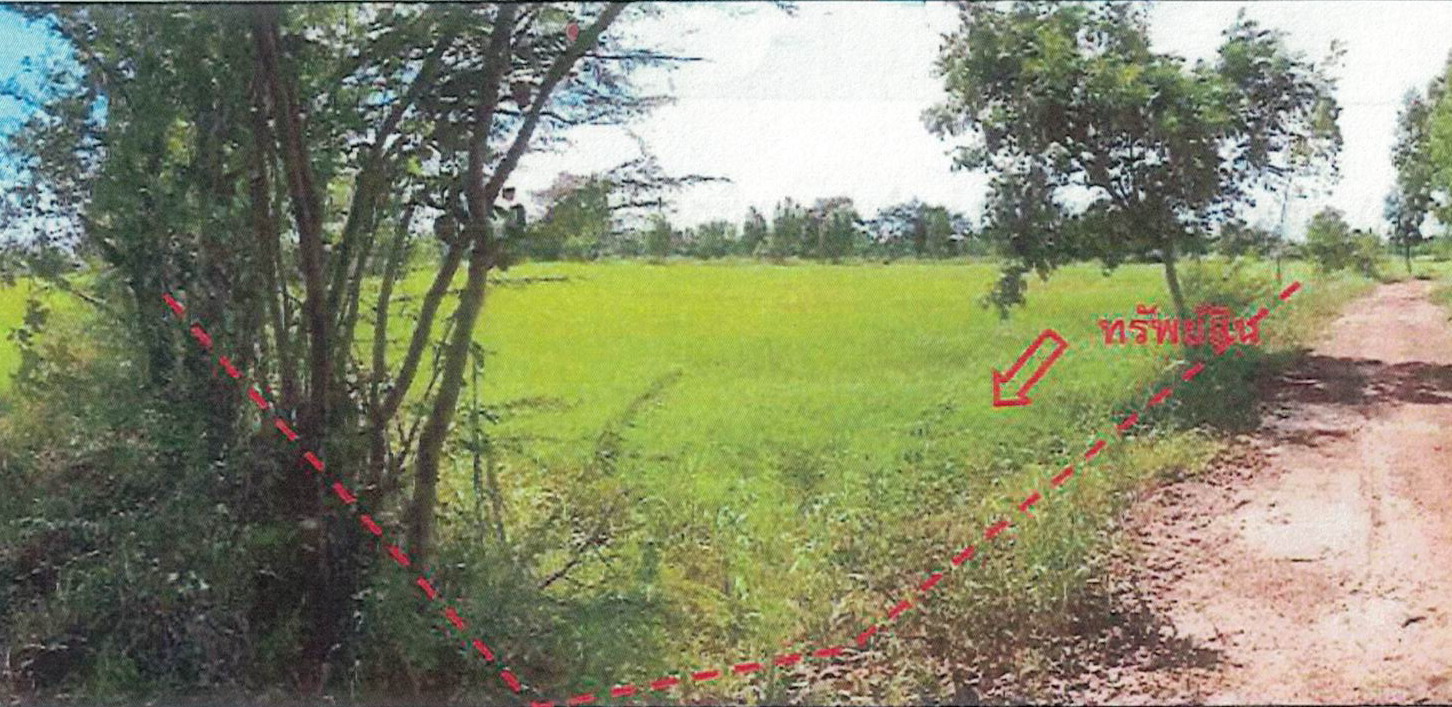 รูปที่ดินว่างเปล่า บุ่ง เมือง อำนาจเจริญ