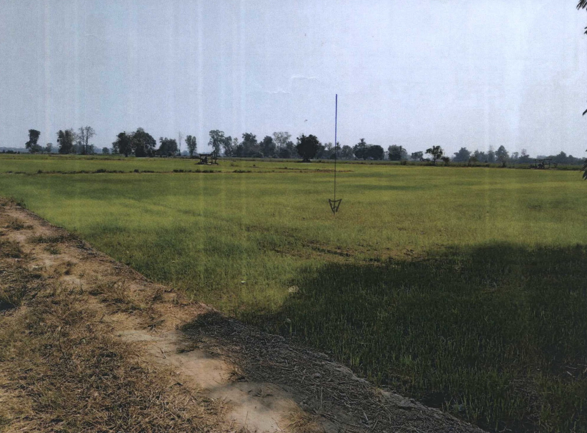 รูปที่ดินว่างเปล่า ไผ่ท่าโพ โพธิ์ประทับช้าง พิจิตร