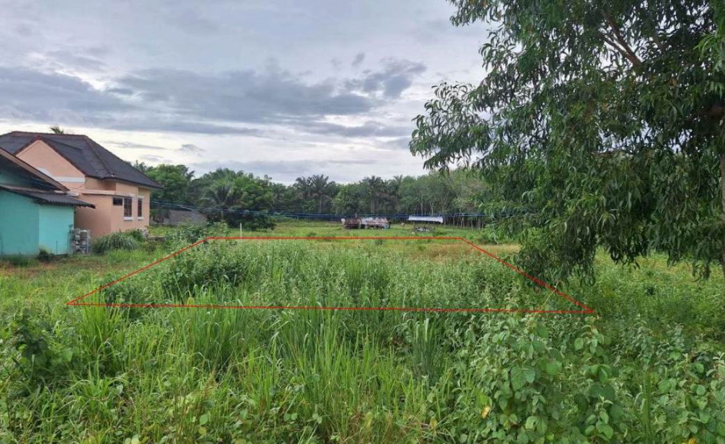 รูปที่ดินว่างเปล่า ทรายทอง บางสะพานน้อย ประจวบคีรีขันธ์