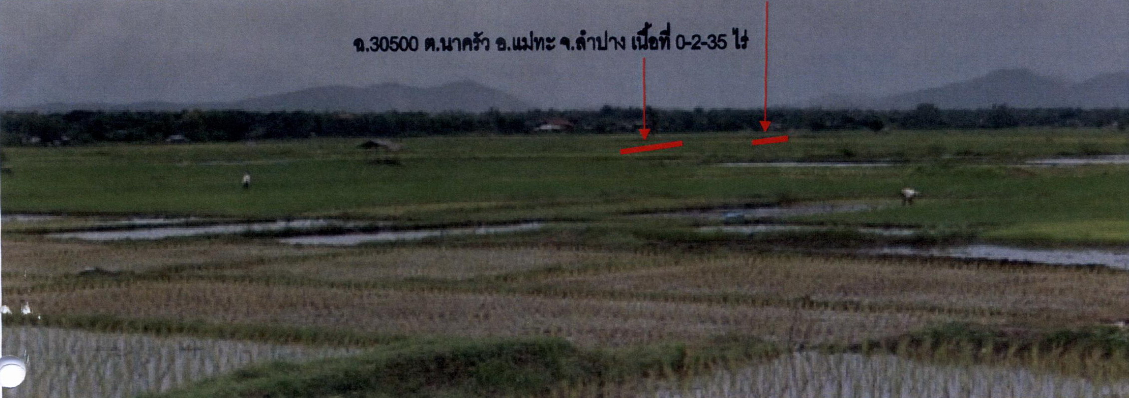 รูปที่ดินว่างเปล่า นาครัว แม่ทะ ลำปาง
