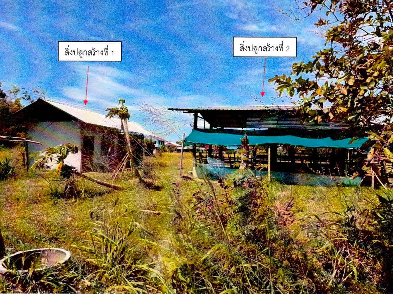 รูปที่ดินพร้อมสิ่งปลูกสร้าง หนองไฮ เมืองศรีสะเกษ ศรีสะเกษ