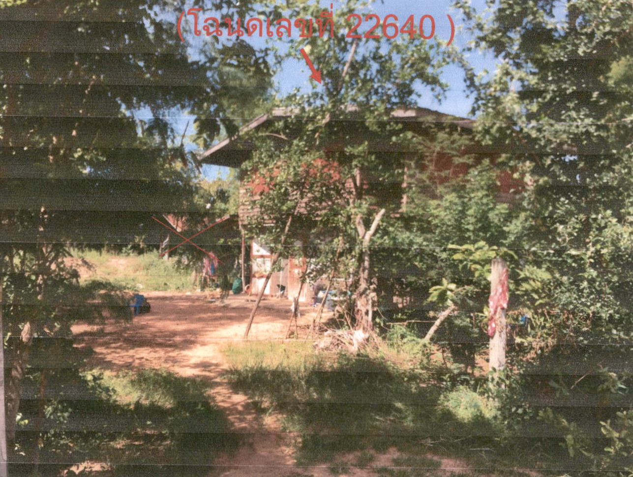 รูปที่ดินพร้อมสิ่งปลูกสร้าง ห้วยยาง บัวใหญ่ นครราชสีมา