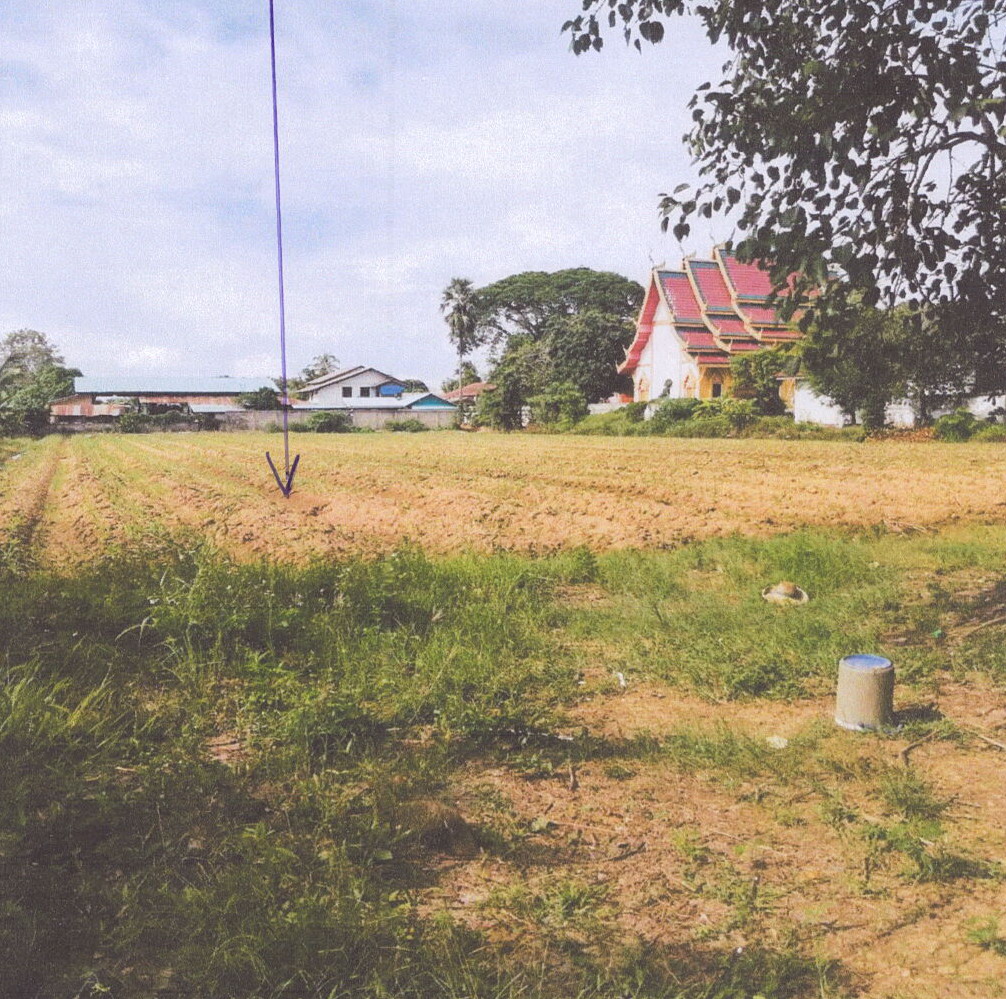 รูปที่ดินว่างเปล่า แม่ไร่ แม่จัน เชียงราย