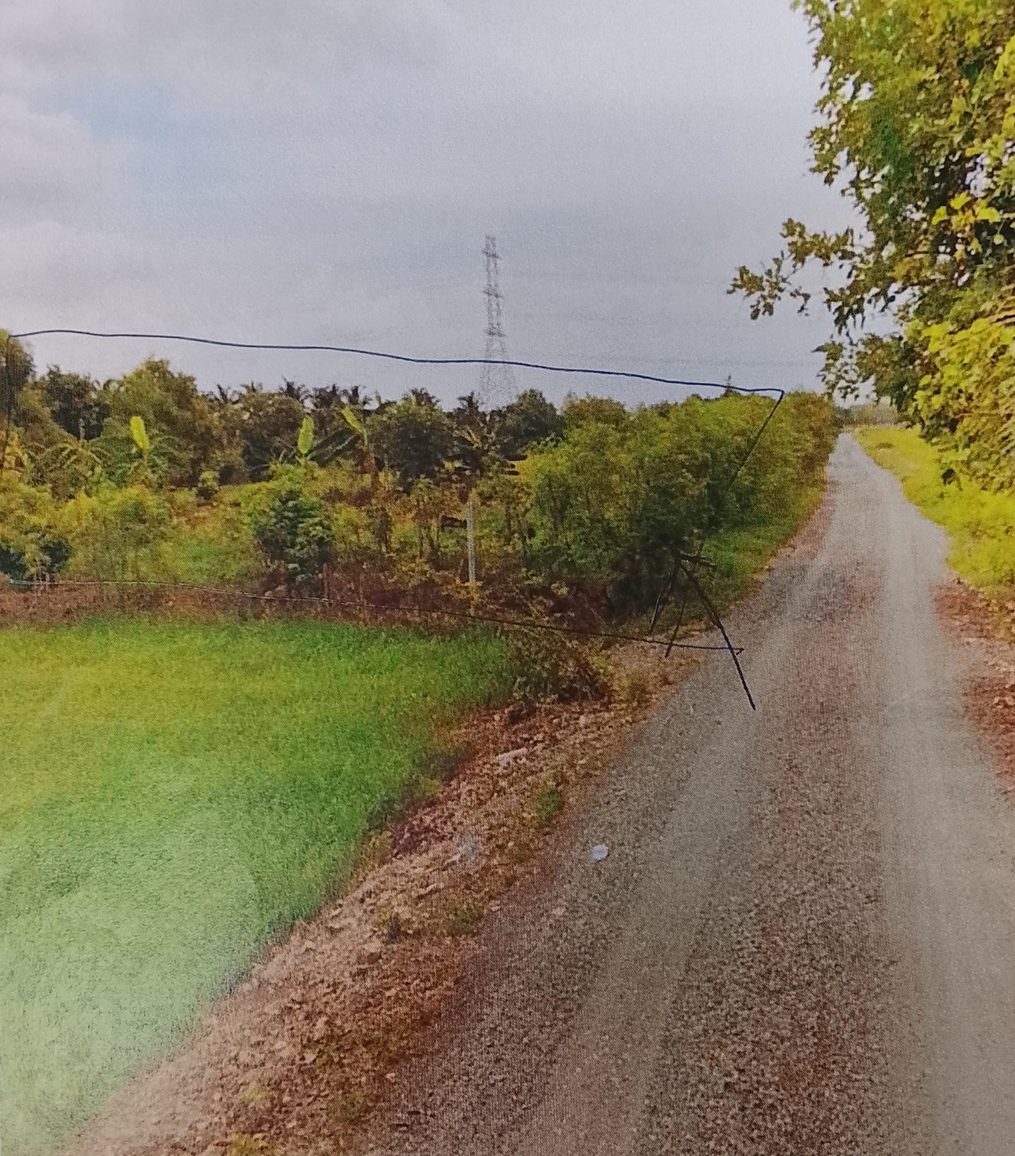 รูปที่ดินว่างเปล่า บึงบาใต้ หนองเสือ ปทุมธานี