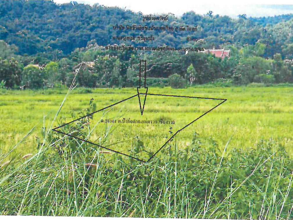 รูปที่ดินว่างเปล่า ป่าก่อดำ แม่ลาว เชียงราย