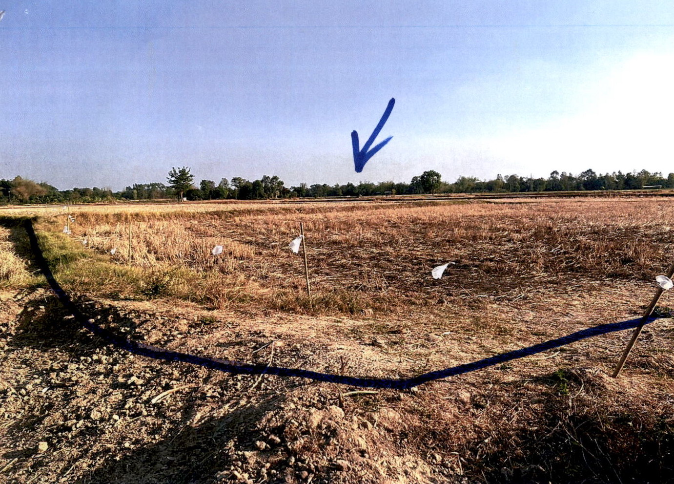 รูปที่ดินว่างเปล่า เหล่าไฮงาม กุฉินารายณ์ กาฬสินธุ์