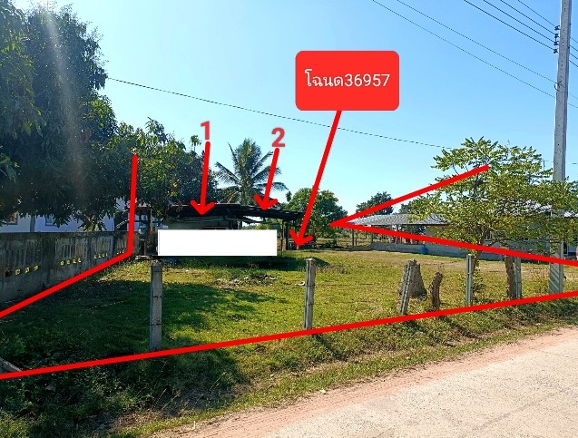 รูปที่ดินพร้อมสิ่งปลูกสร้าง เสือเฒ่า เชียงยืน มหาสารคาม