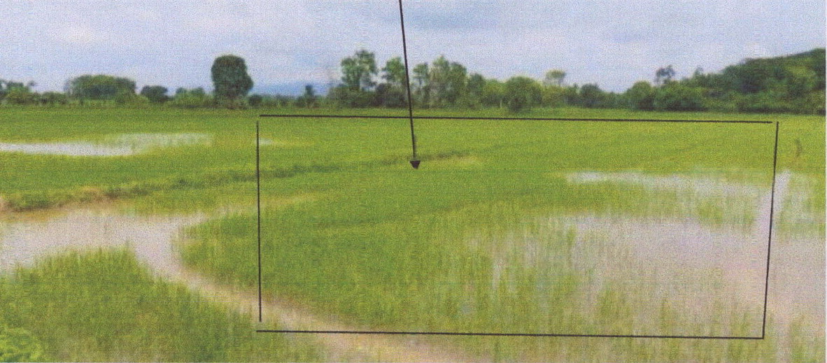 รูปที่ดินว่างเปล่า เวียงชัย เวียงชัย เชียงราย