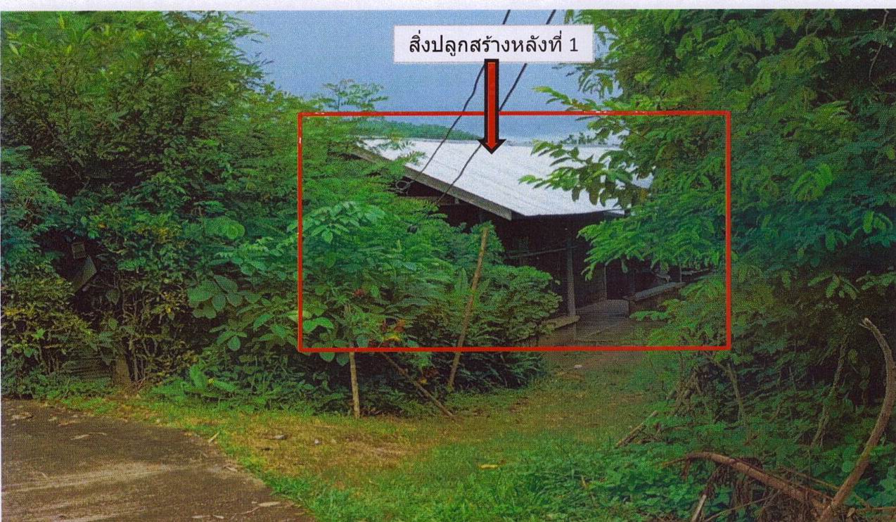 รูปที่ดินพร้อมสิ่งปลูกสร้าง สันทราย แม่จัน เชียงราย