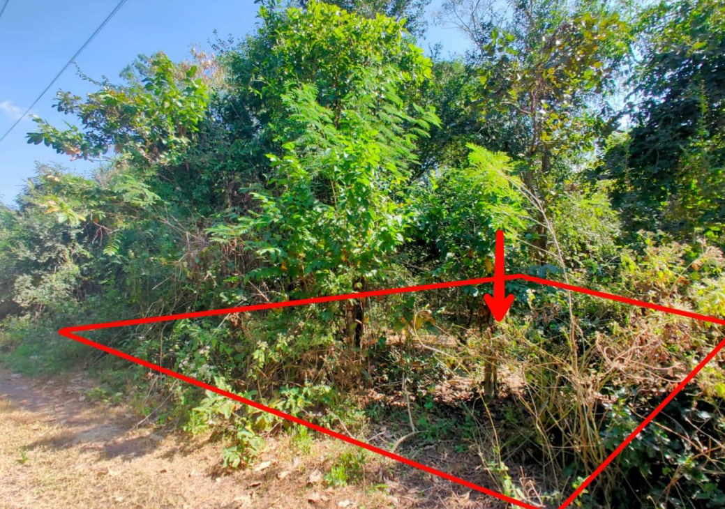 รูปที่ดินว่างเปล่า ทุ่งอรุณ โชคชัย นครราชสีมา