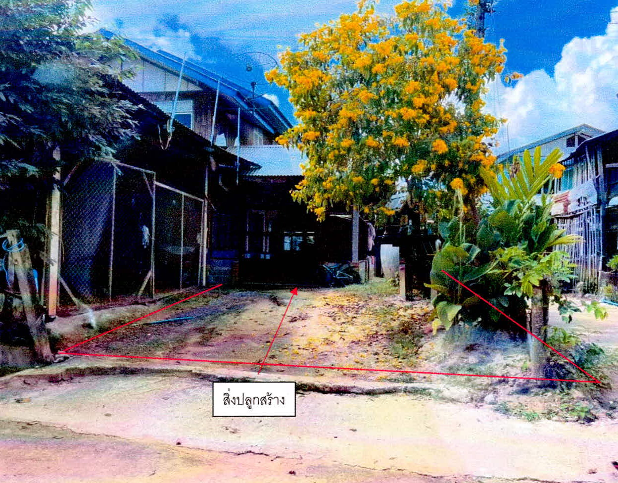 รูปที่ดินพร้อมสิ่งปลูกสร้าง ตำแย พยุห์ ศรีสะเกษ