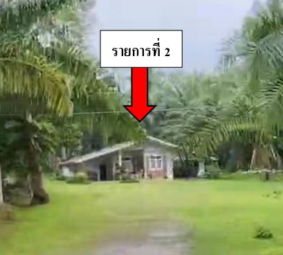 รูปที่ดินพร้อมสิ่งปลูกสร้าง ท่าสะบ้า วังวิเศษ ตรัง