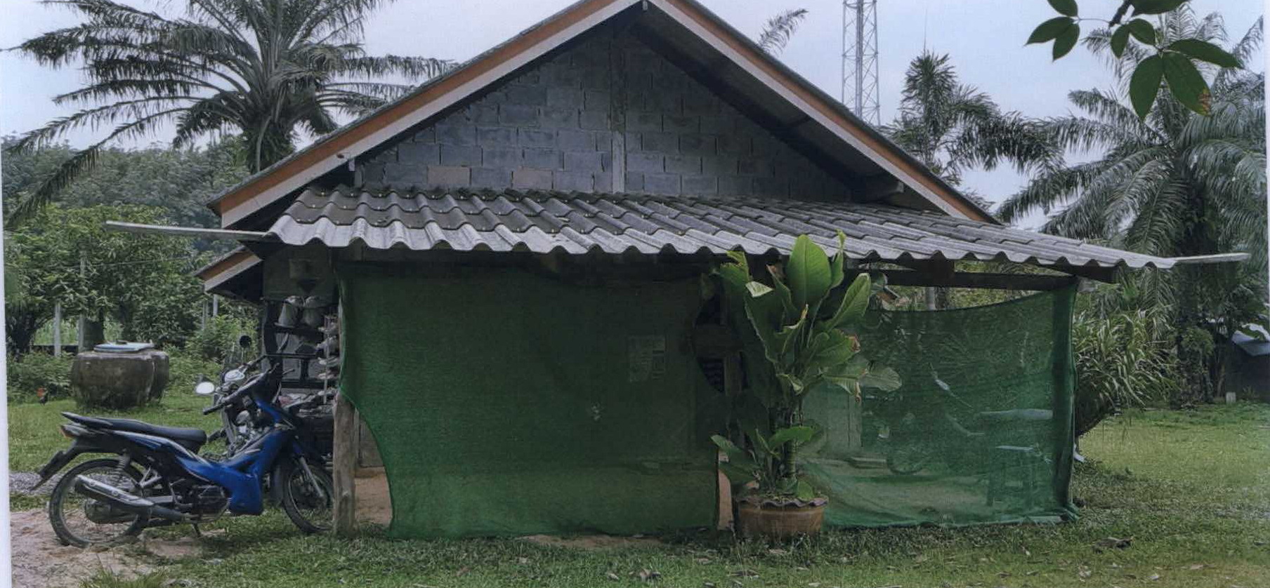 รูปที่ดินพร้อมสิ่งปลูกสร้าง คลองเขม้า เหนือคลอง กระบี่