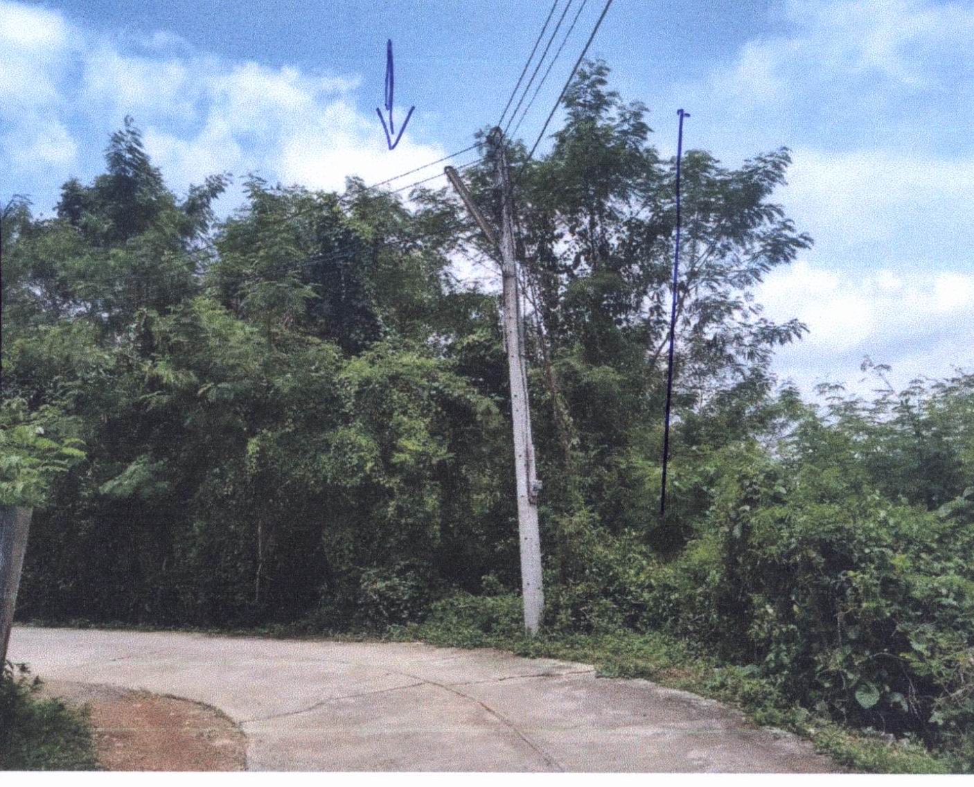 รูปที่ดินว่างเปล่า บ้านถิ่น เมืองแพร่ แพร่