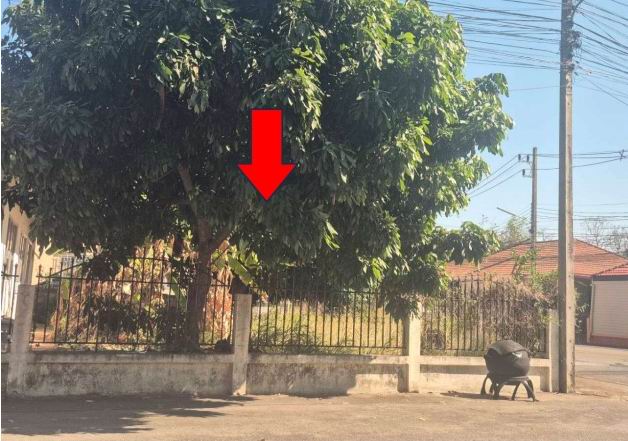 รูปที่ดินว่างเปล่า บ้านเป็ด เมืองขอนแก่น ขอนแก่น