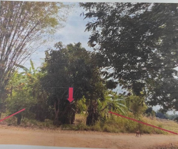 รูปที่ดินว่างเปล่า บ้านพร้าว นครไทย พิษณุโลก