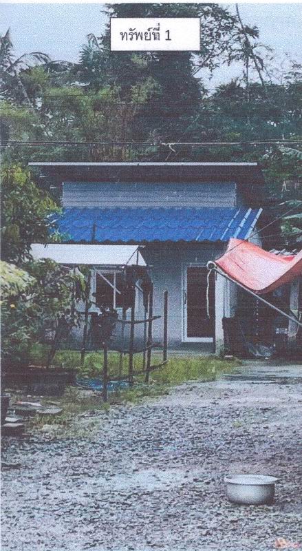 รูปที่ดินพร้อมสิ่งปลูกสร้าง ร่อนพิบูลย์ ร่อนพิบูลย์ นครศรีธรรมราช