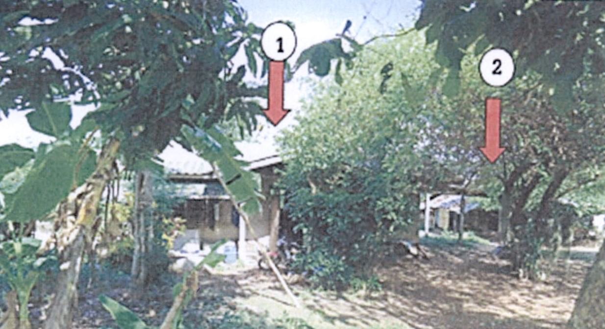 รูปที่ดินพร้อมสิ่งปลูกสร้าง เจริญเมือง พาน เชียงราย
